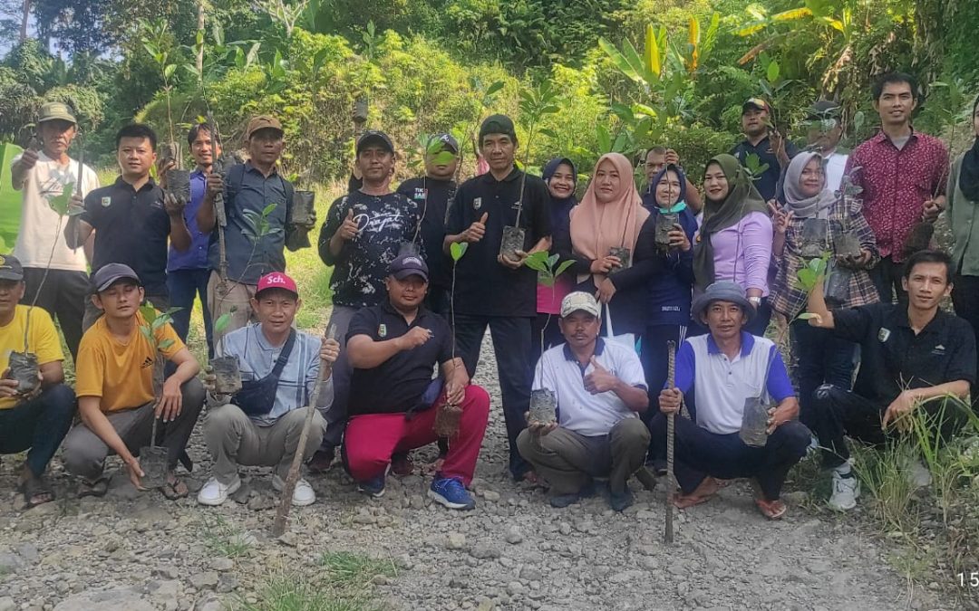 Jajaran Pemdes Batu Menyan Gelar Kegiatan Penamanan Pohon Serentak