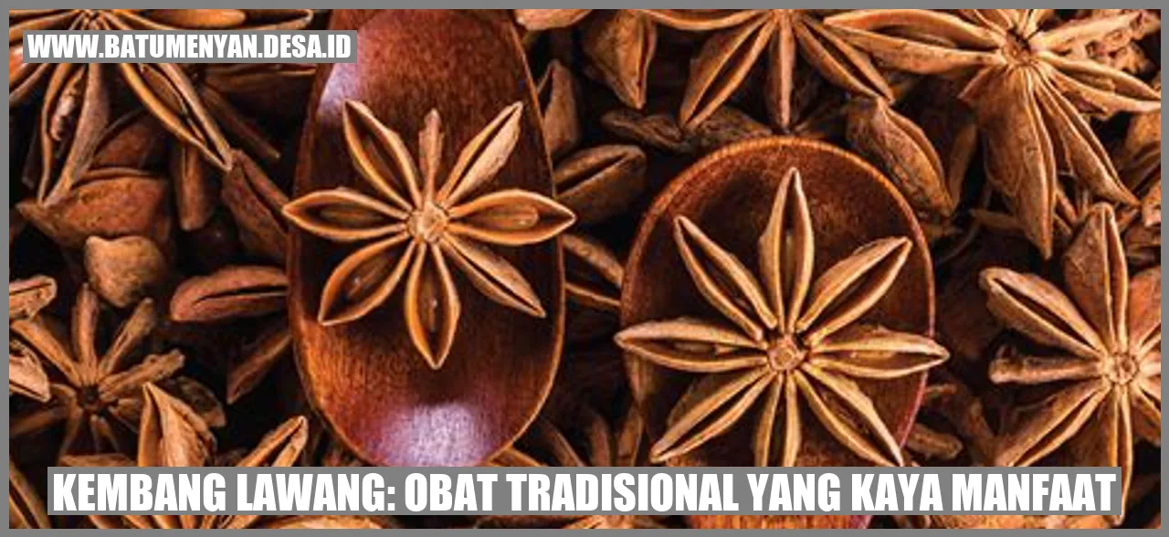 Kembang Lawang: Obat Tradisional yang Kaya Manfaat