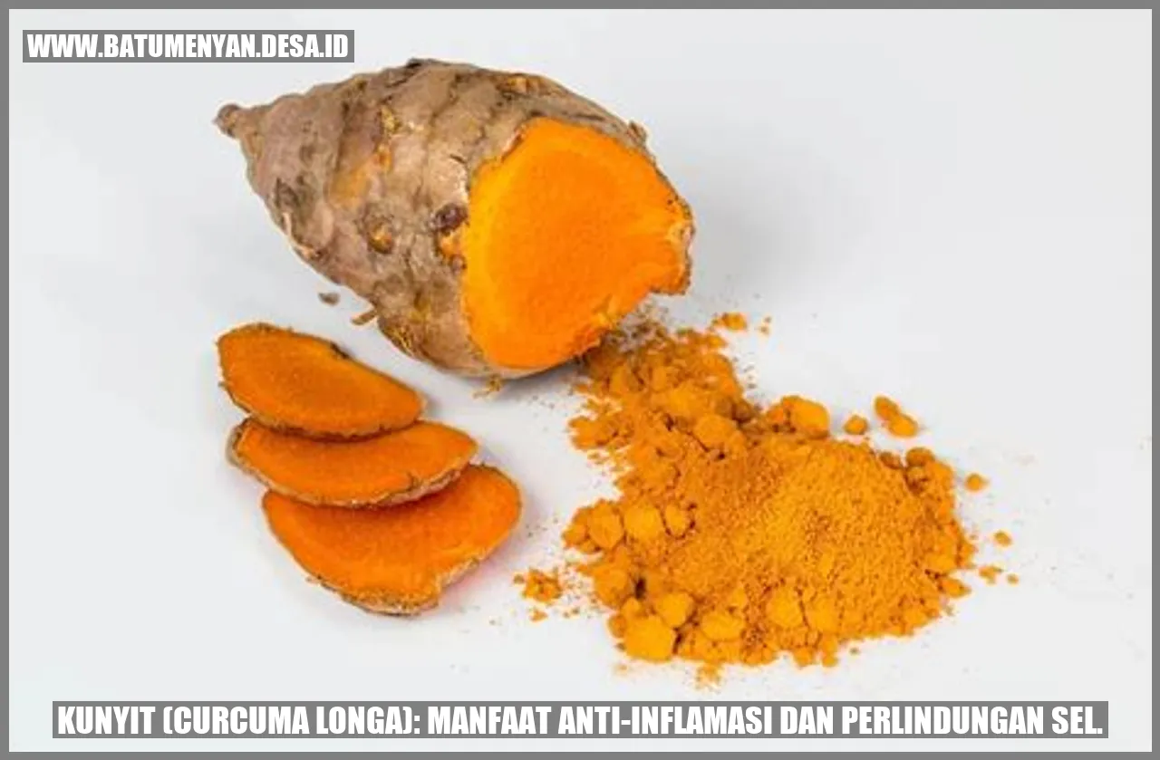 Kunyit (Curcuma longa): Manfaat Anti-inflamasi dan Perlindungan Sel.