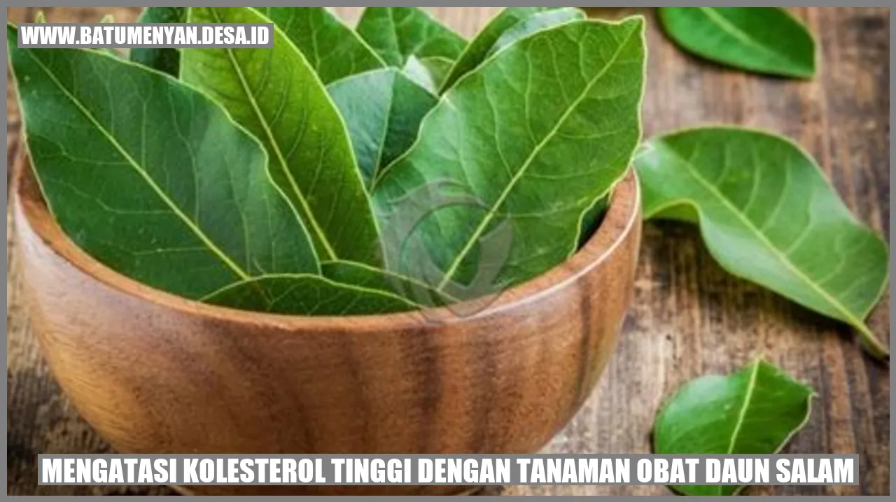 To the Rescue: Mengatasi Kolesterol Tinggi dengan Tanaman Obat Daun Salam
