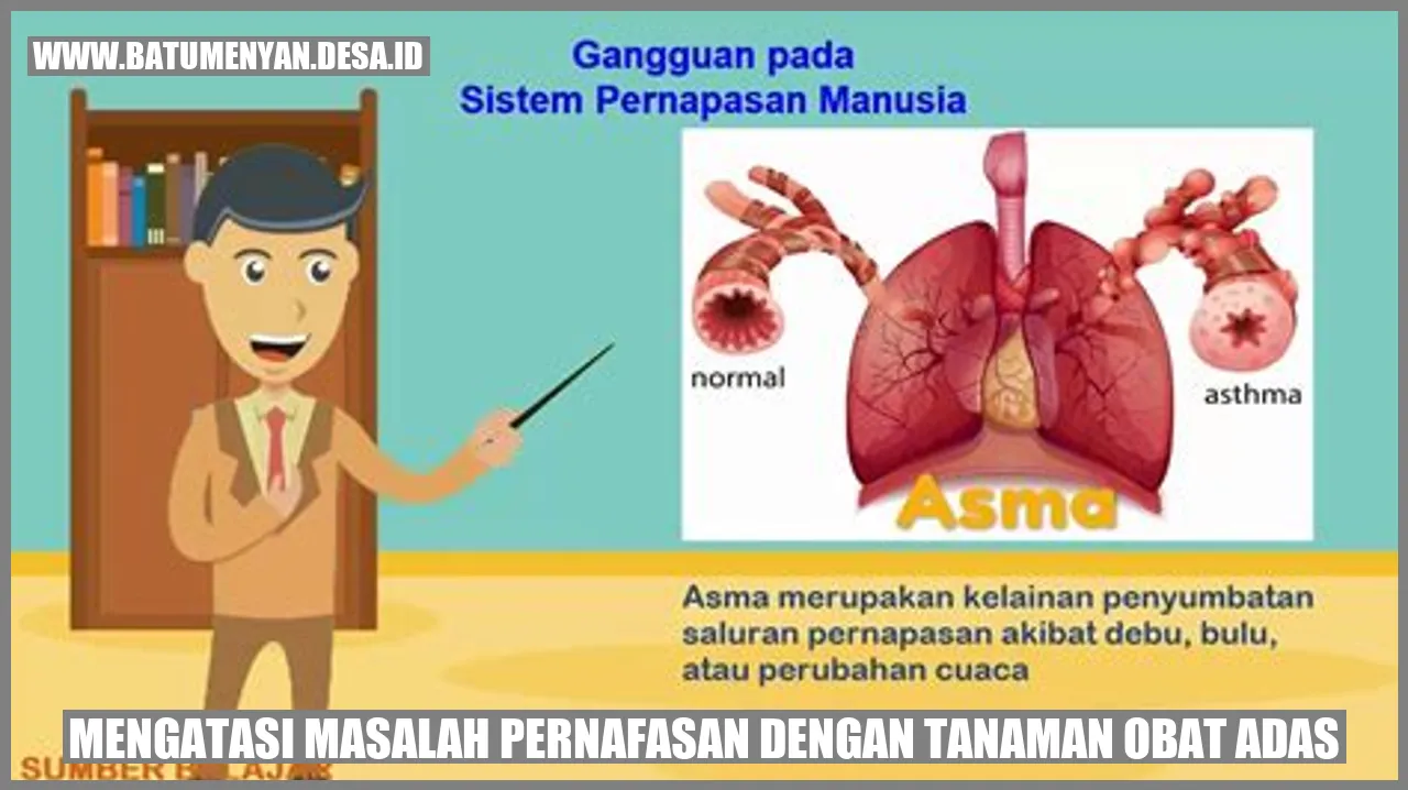 Mengatasi Masalah Pernafasan dengan Tanaman Obat Adas