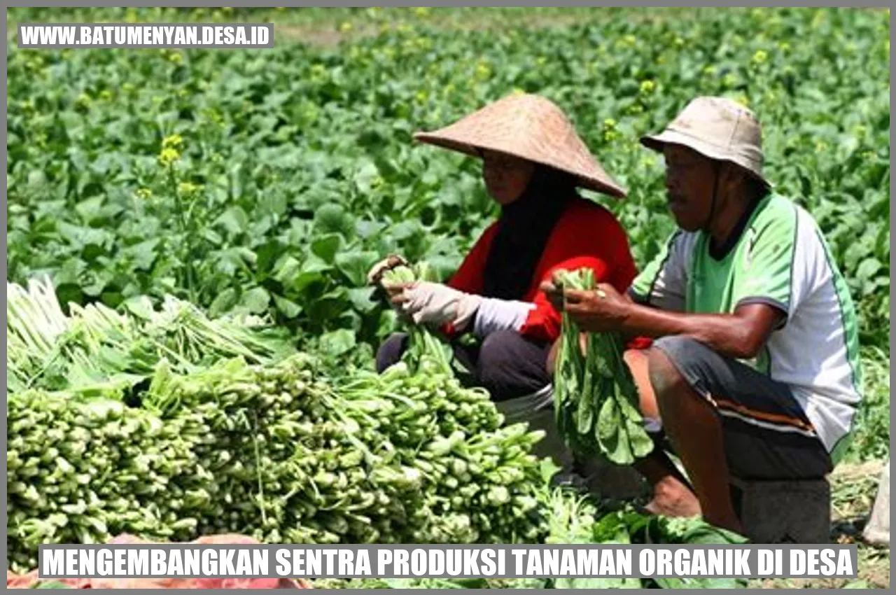 Mengembangkan Sentra Produksi Tanaman Organik di Desa Batu Menyan, Kabupaten Pesawaran: Peluang dan Tantangan