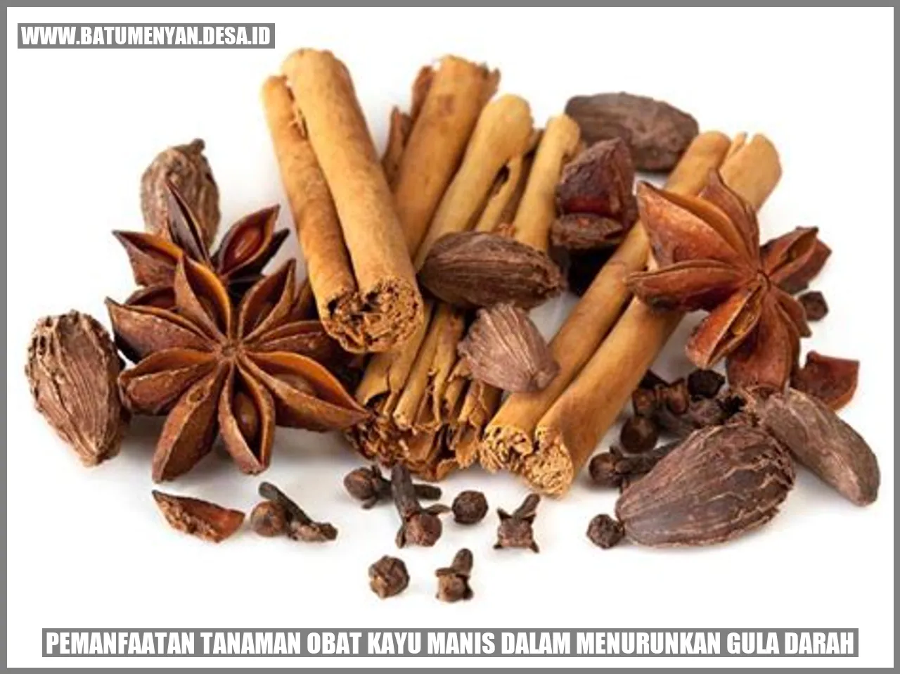 Pemanfaatan Tanaman Obat Kayu Manis dalam Menurunkan Gula Darah