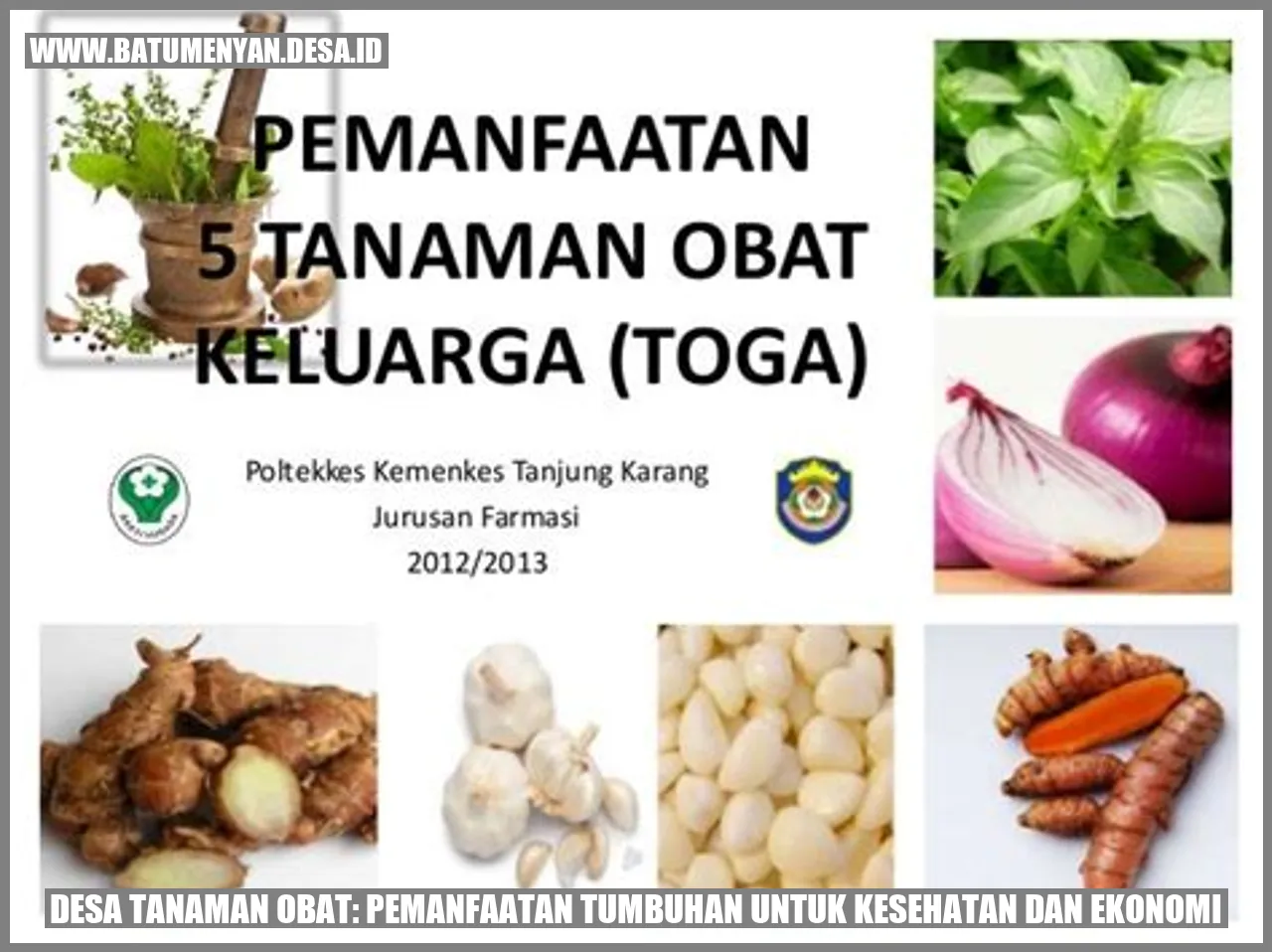 Desa Tanaman Obat: Pemanfaatan Tumbuhan untuk Kesehatan dan Ekonomi