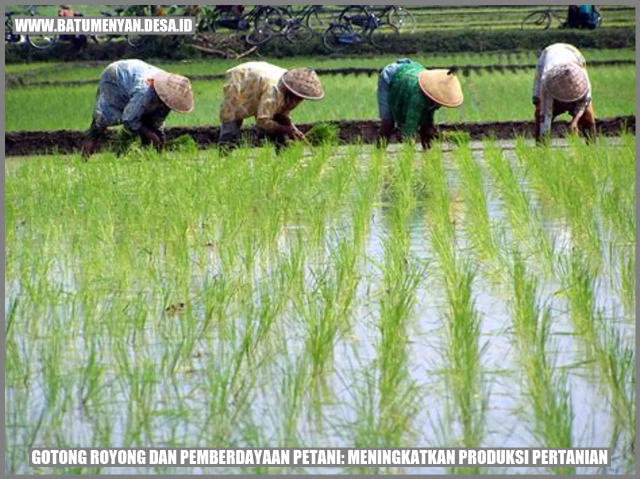 Gotong Royong dan Pemberdayaan Petani: Meningkatkan Produksi Pertanian