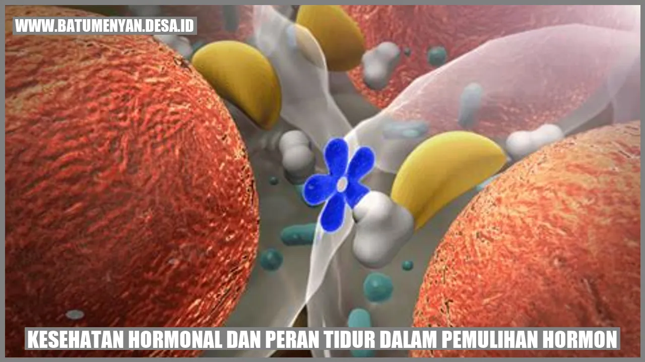 Kesehatan Hormonal dan Peran Tidur dalam Pemulihan Hormon