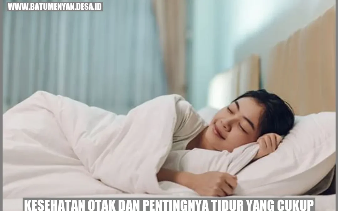 Kesehatan Otak Dan Pentingnya Tidur Yang Cukup - Batu Menyan