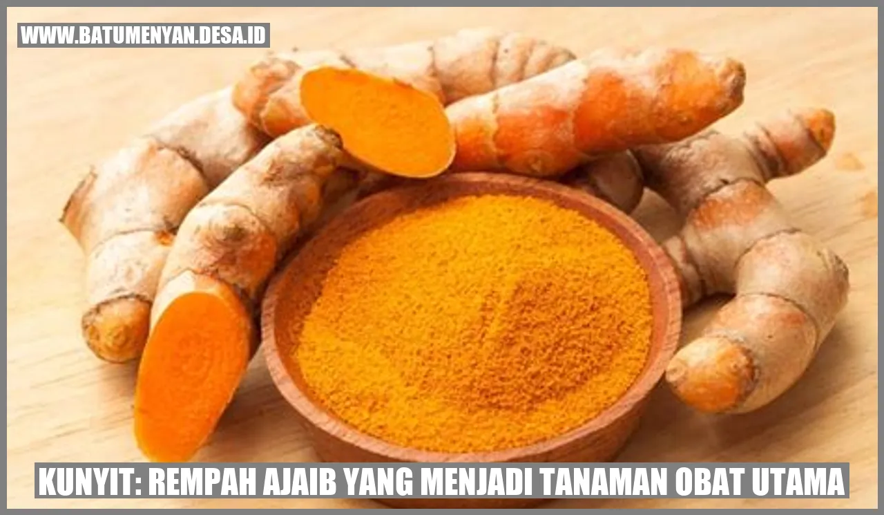 Kunyit: Rempah Ajaib yang Menjadi Tanaman Obat Utama