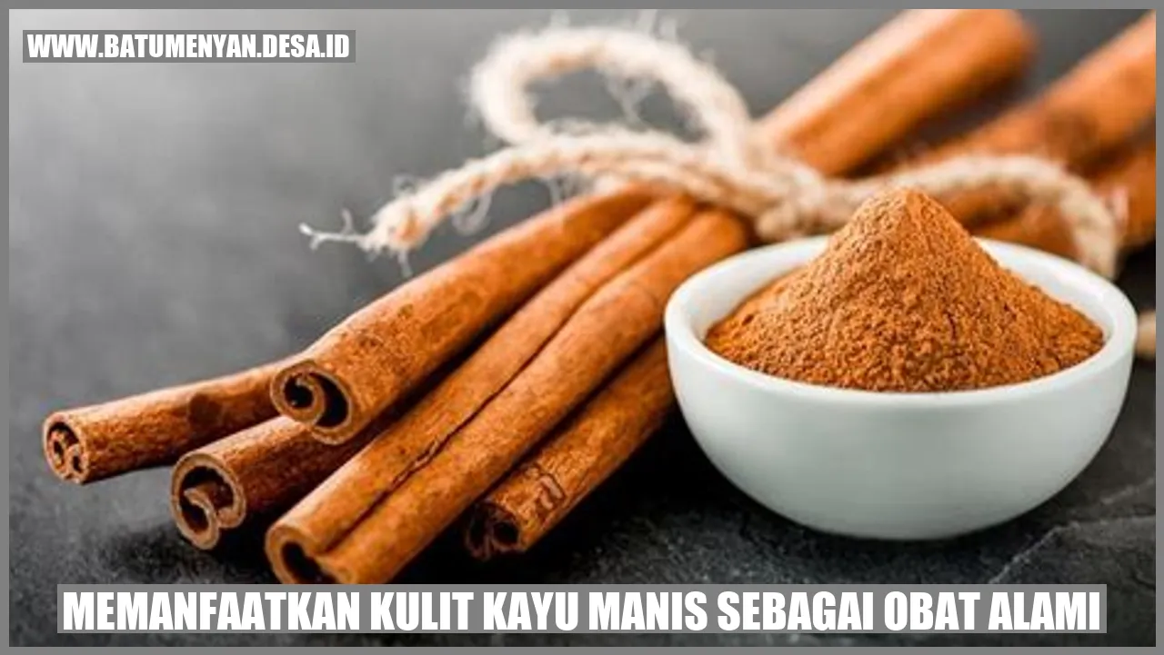 Memanfaatkan Kulit Kayu Manis sebagai Obat Alami