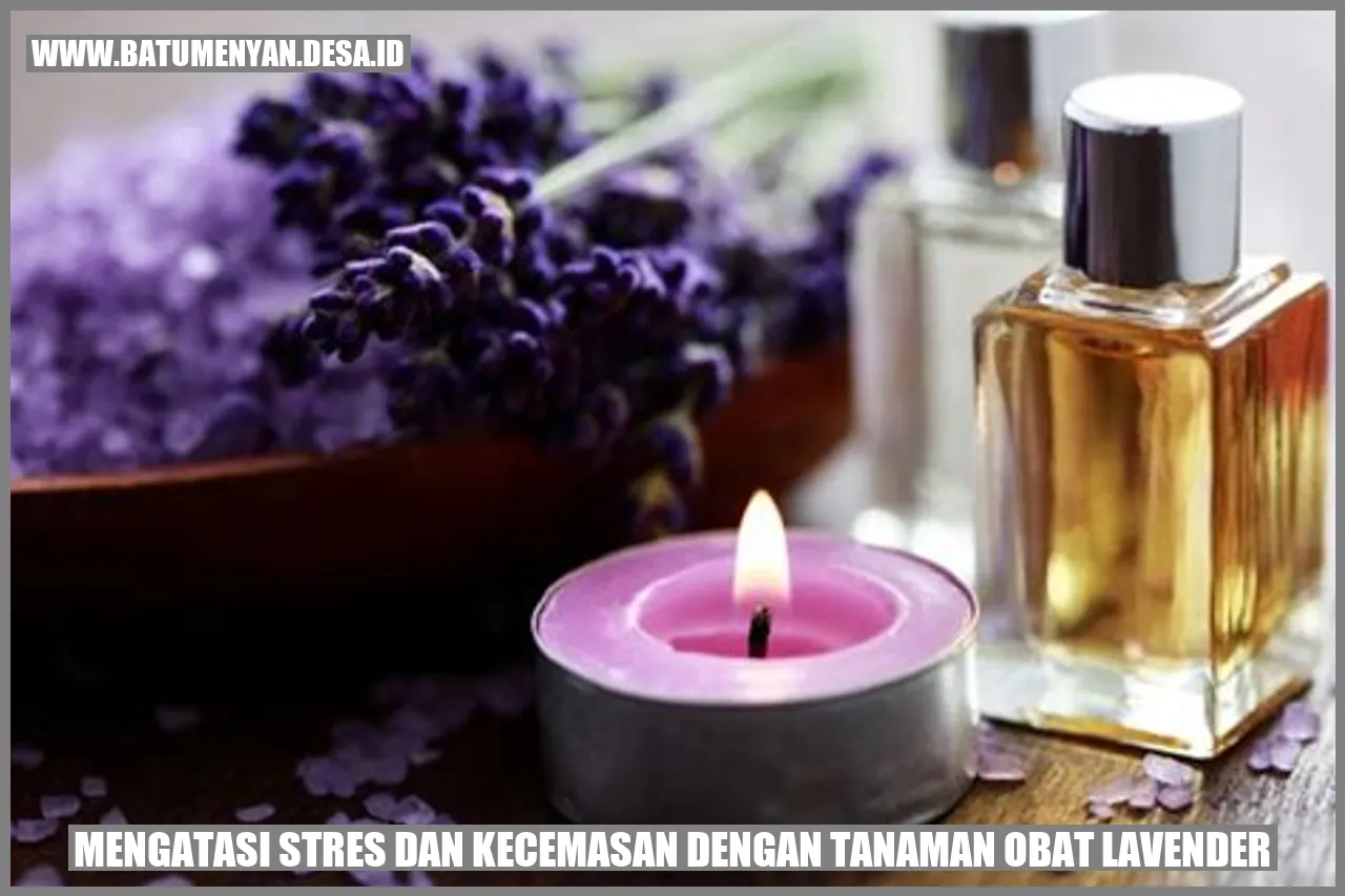 Gambar Lavender