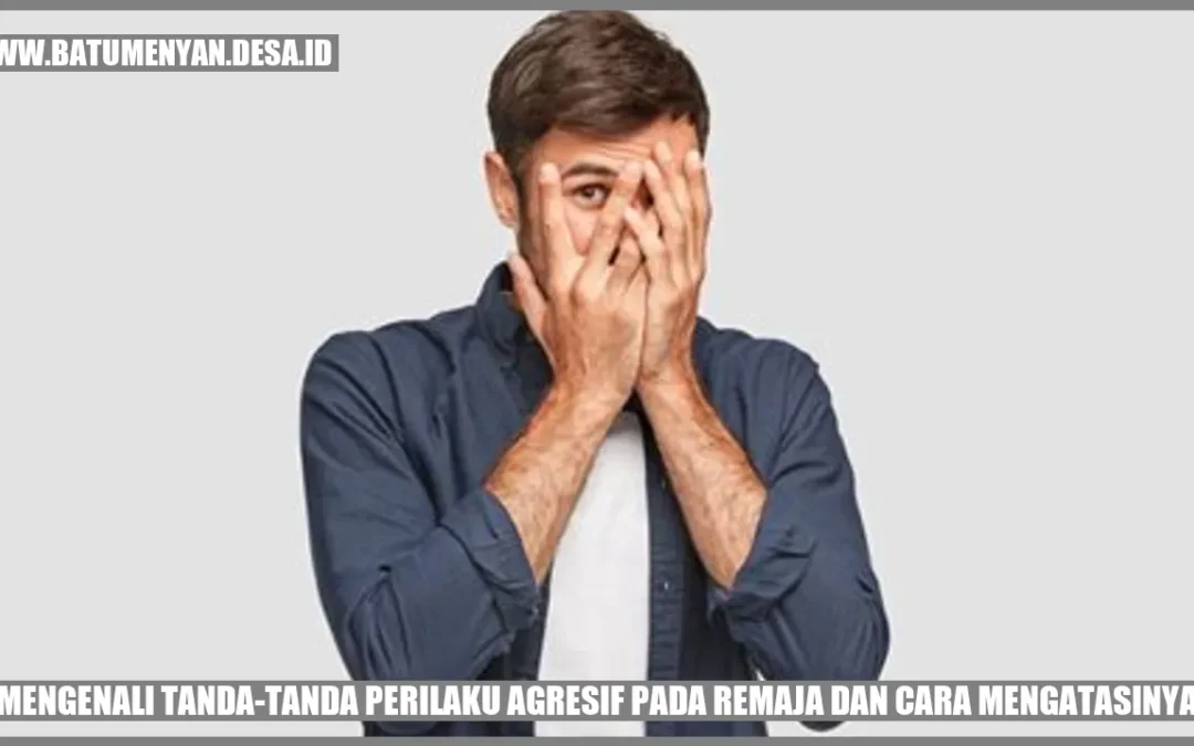 Mengenali Tanda Tanda Perilaku Agresif Pada Remaja Dan Cara