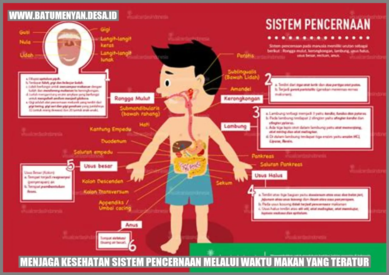 Menjaga Kesehatan Sistem Pencernaan melalui Waktu Makan yang Teratur