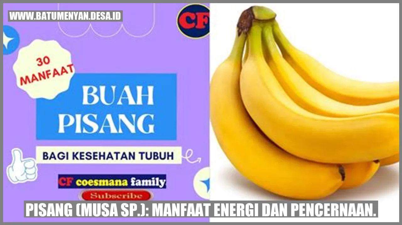 Pisang: Kekuatan untuk Pencernaan Sehat