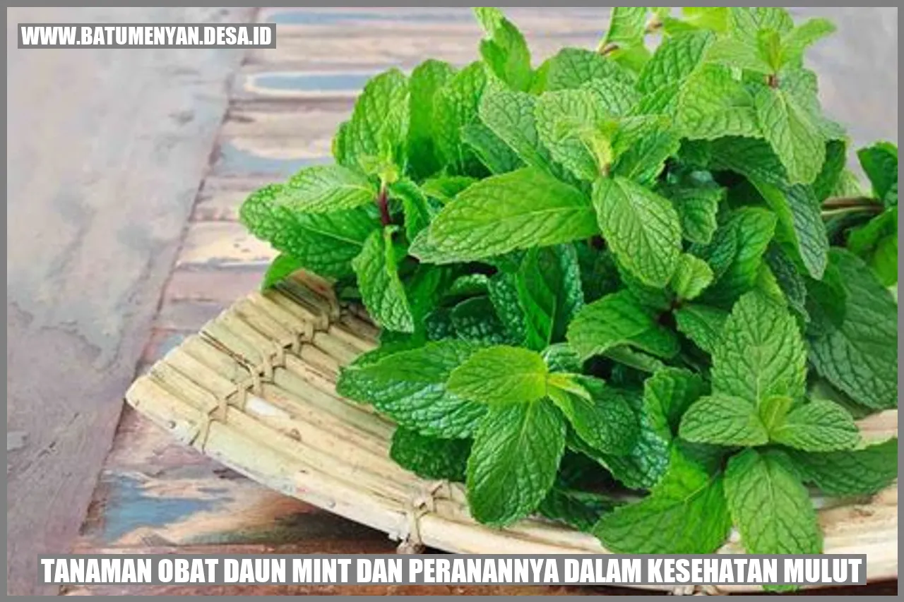 Tanaman Obat Daun Mint dan Peranannya dalam Kesehatan Mulut