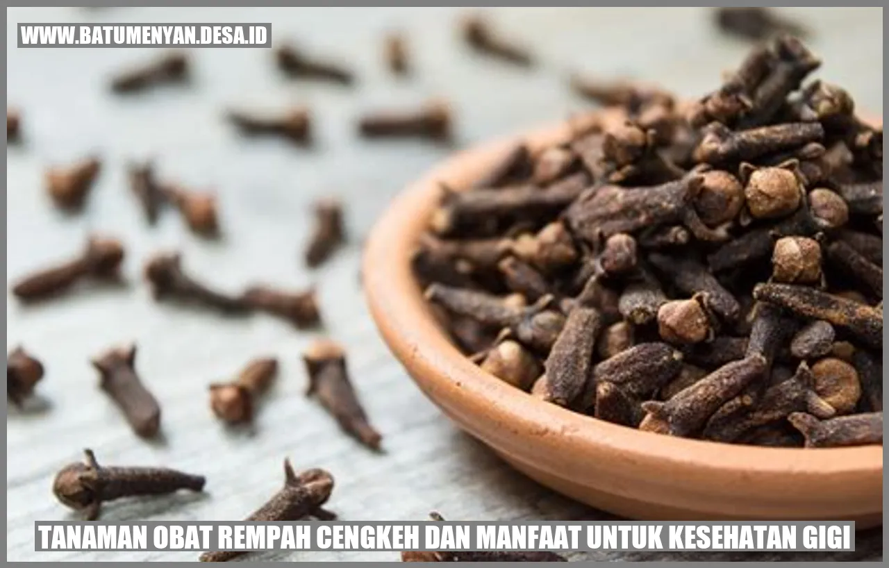 Tanaman Obat Rempah Cengkeh dan Manfaat untuk Kesehatan Gigi